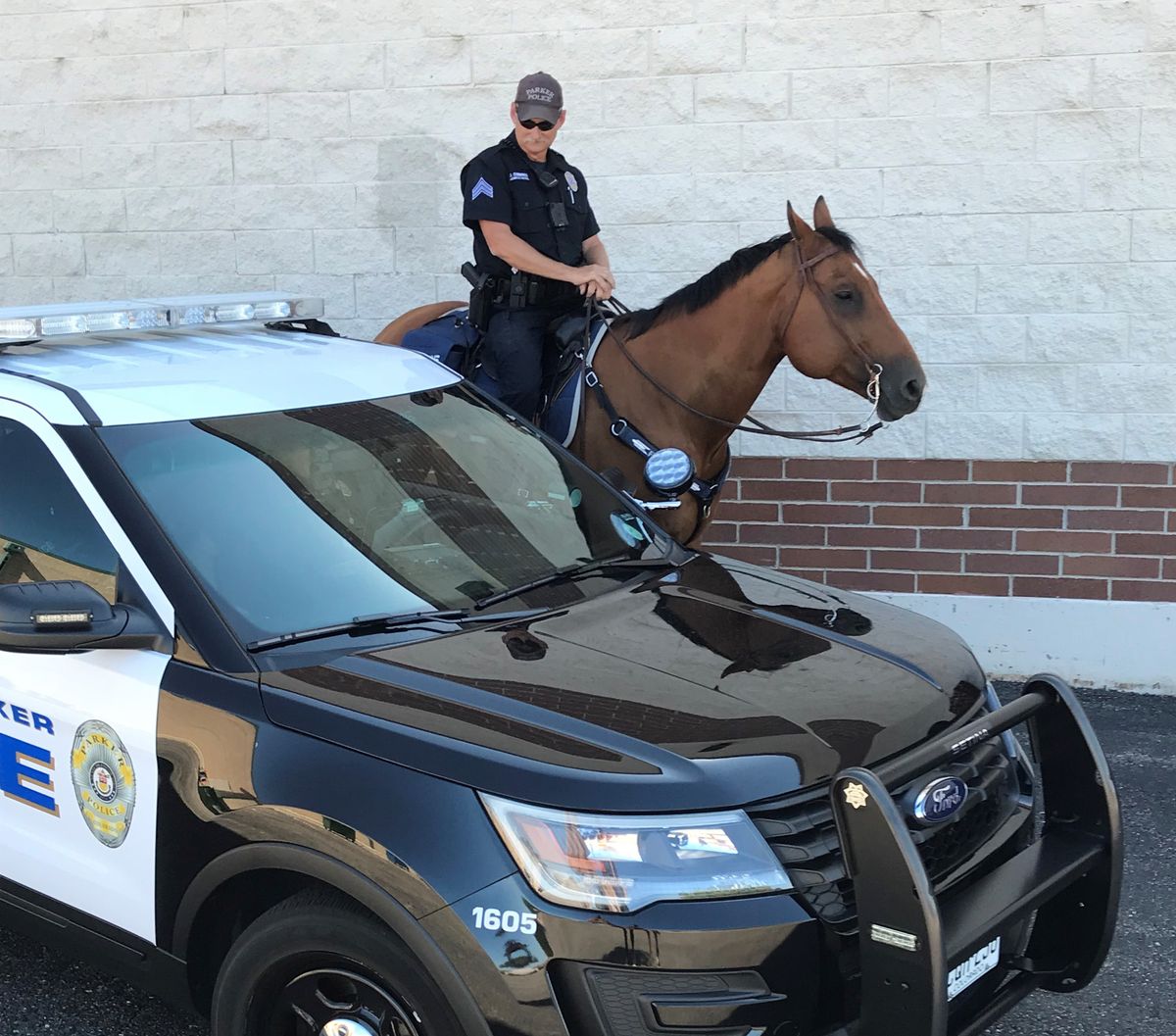 What role do mounted units play in modern policing?